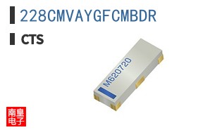 228CMVAYGFCMBDR