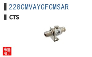 228CMVAYGFCMSAR