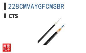 228CMVAYGFCMSBR