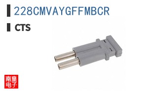 228CMVAYGFFMBCR