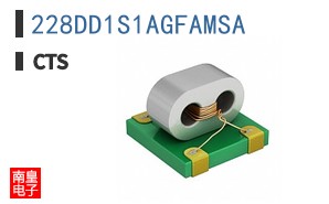 228DD1S1AGFAMSA