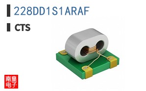 228DD1S1ARAF