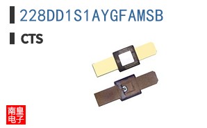 228DD1S1AYGFAMSB