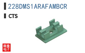 228DMS1ARAFAMBCR