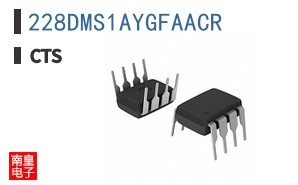 228DMS1AYGFAACR