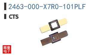 2463-000-X7R0-101PLF