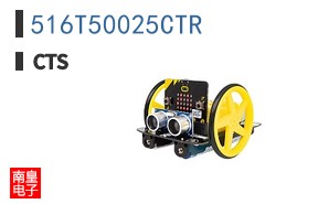 516T50025CTR