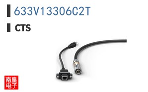 633V13306C2T