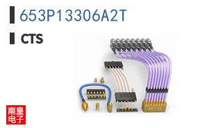 653P13306A2T