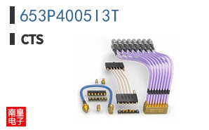653P4005I3T