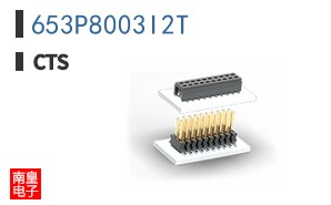653P8003I2T