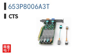 653P8006A3T