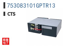 753083101GPTR13