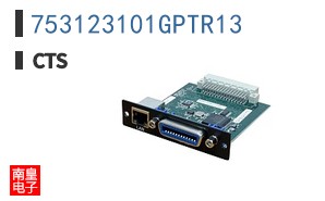 753123101GPTR13