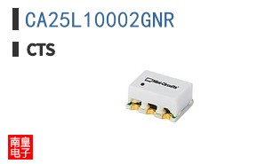 CA25L10002GNR
