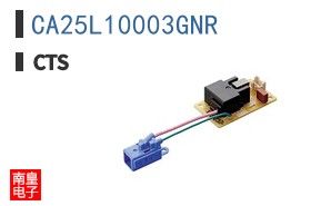 CA25L10003GNR