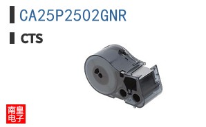 CA25P2502GNR