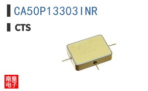 CA50P13303INR