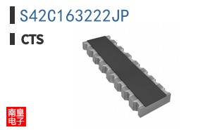 S42C163222JP