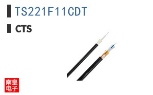 TS221F11CDT