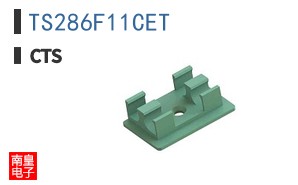TS286F11CET